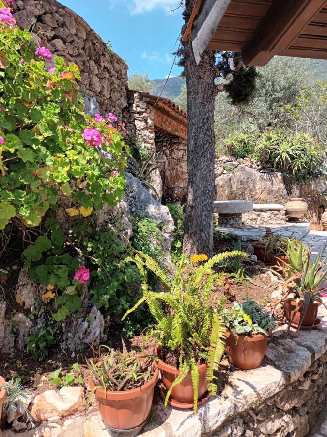 Aphrodite'S Maisonette On Corfu Island 巴尔巴蒂 外观 照片